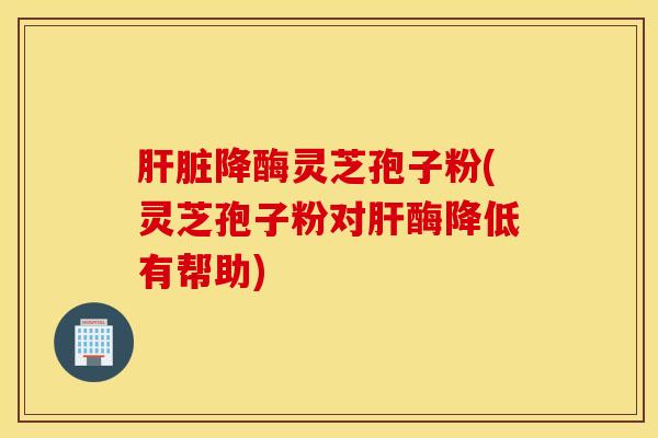 肝脏降酶灵芝孢子粉(灵芝孢子粉对肝酶降低有帮助)