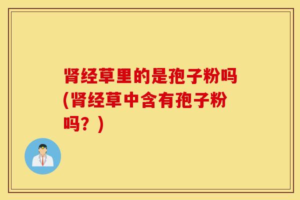 肾经草里的是孢子粉吗(肾经草中含有孢子粉吗？)