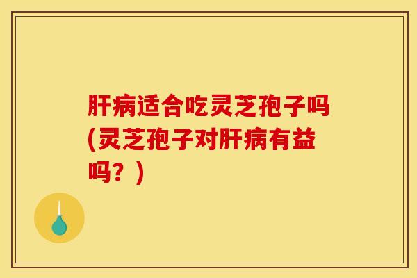 肝病适合吃灵芝孢子吗(灵芝孢子对肝病有益吗？)