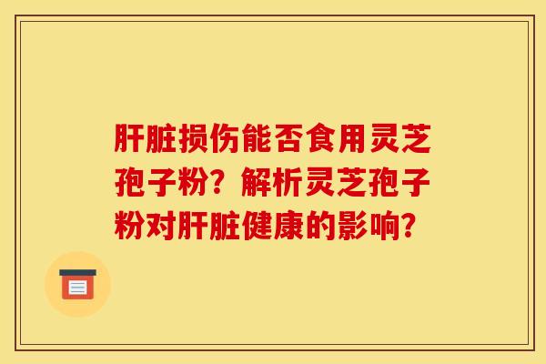 肝脏损伤能否食用灵芝孢子粉？解析灵芝孢子粉对肝脏健康的影响？