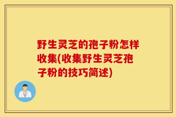 野生灵芝的孢子粉怎样收集(收集野生灵芝孢子粉的技巧简述)