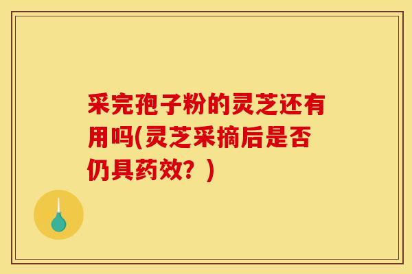 采完孢子粉的灵芝还有用吗(灵芝采摘后是否仍具药效？)