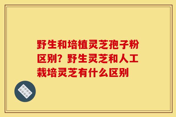 野生和培植灵芝孢子粉区别？野生灵芝和人工栽培灵芝有什么区别