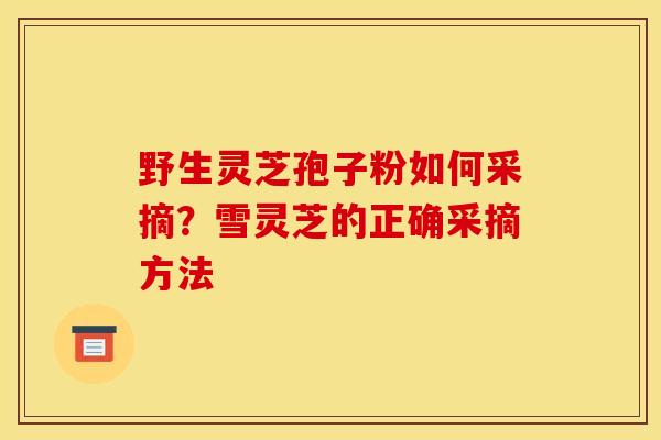 野生灵芝孢子粉如何采摘？雪灵芝的正确采摘方法
