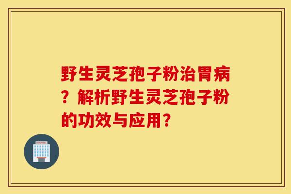 野生灵芝孢子粉治胃病？解析野生灵芝孢子粉的功效与应用？
