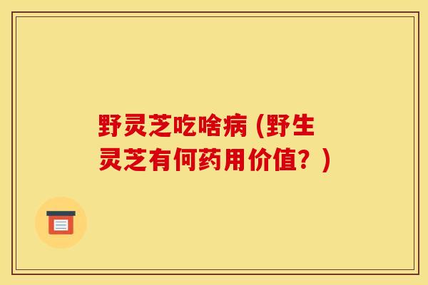 野灵芝吃啥病 (野生灵芝有何药用价值？)