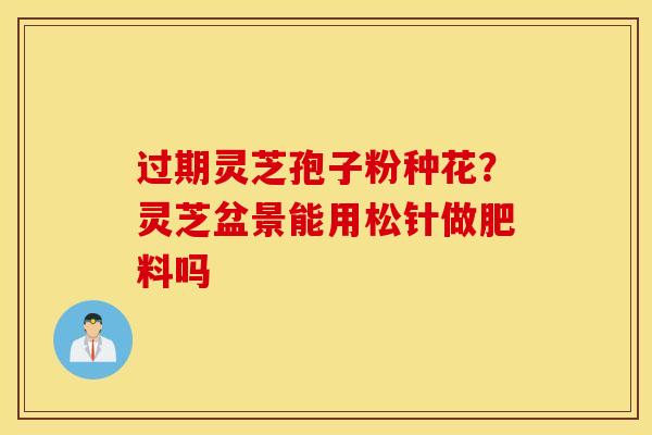 过期灵芝孢子粉种花？灵芝盆景能用松针做肥料吗