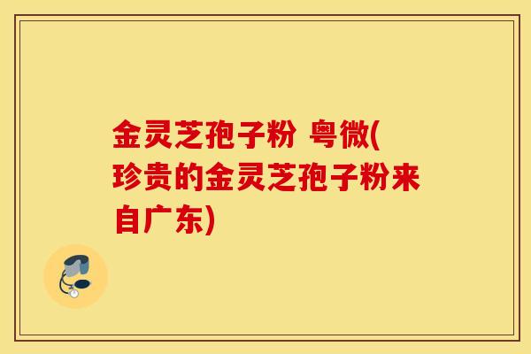 金灵芝孢子粉 粤微(珍贵的金灵芝孢子粉来自广东)