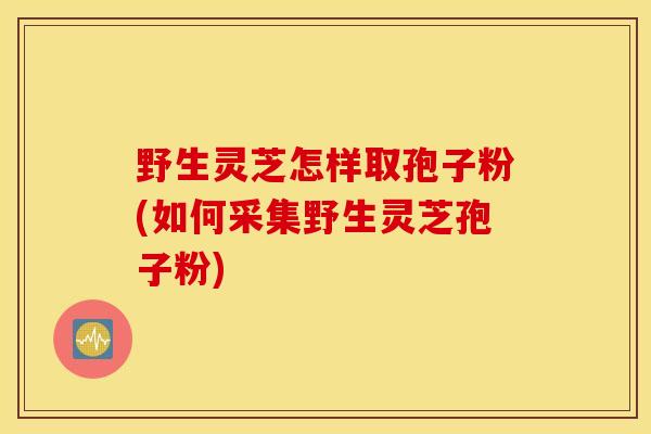 野生灵芝怎样取孢子粉(如何采集野生灵芝孢子粉)