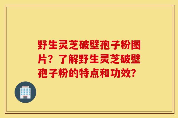 野生灵芝破壁孢子粉图片？了解野生灵芝破壁孢子粉的特点和功效？