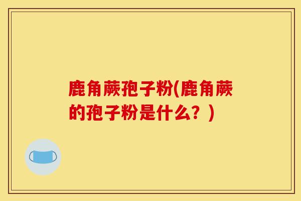 鹿角蕨孢子粉(鹿角蕨的孢子粉是什么？)
