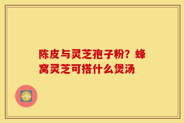 陈皮与灵芝孢子粉？蜂窝灵芝可搭什么煲汤