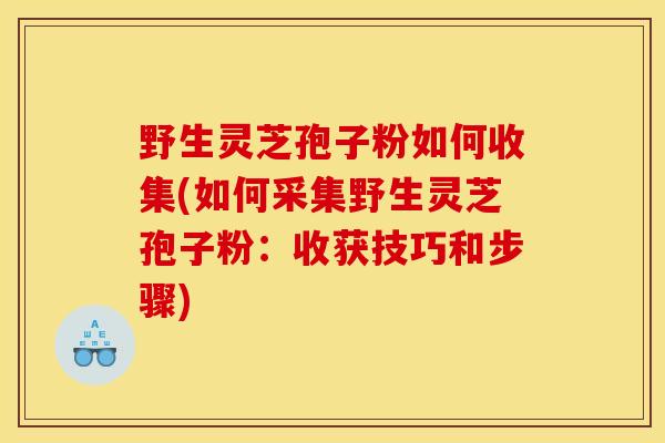 野生灵芝孢子粉如何收集(如何采集野生灵芝孢子粉：收获技巧和步骤)