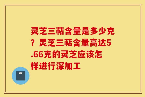 灵芝三萜含量是多少克？灵芝三萜含量高达5.66克的灵芝应该怎样进行深加工