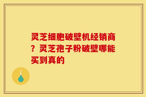 灵芝细胞破壁机经销商？灵芝孢子粉破壁哪能买到真的
