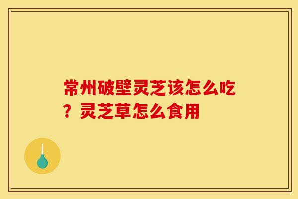 常州破壁灵芝该怎么吃？灵芝草怎么食用