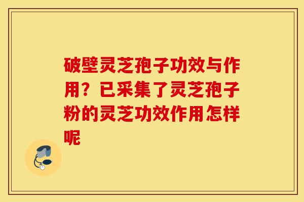 破壁灵芝孢子功效与作用？已采集了灵芝孢子粉的灵芝功效作用怎样呢