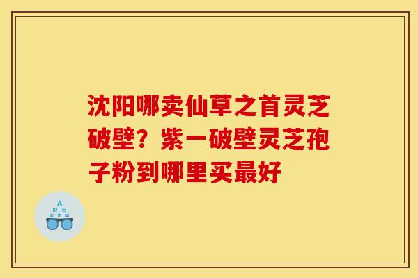 沈阳哪卖仙草之首灵芝破壁？紫一破壁灵芝孢子粉到哪里买最好