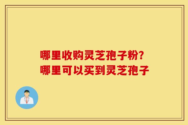 哪里收购灵芝孢子粉？哪里可以买到灵芝孢子