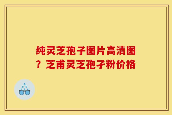 纯灵芝孢子图片高清图？芝甫灵芝孢孑粉价格