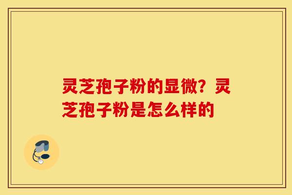 灵芝孢子粉的显微？灵芝孢子粉是怎么样的