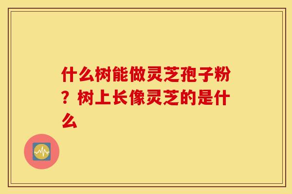 什么树能做灵芝孢子粉？树上长像灵芝的是什么