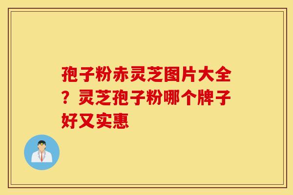 孢子粉赤灵芝图片大全？灵芝孢子粉哪个牌子好又实惠