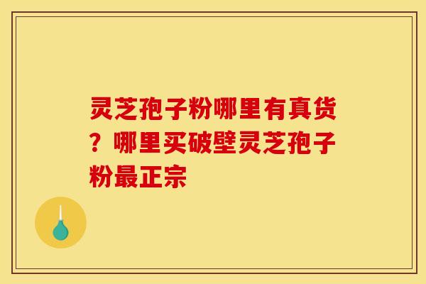 灵芝孢子粉哪里有真货？哪里买破壁灵芝孢子粉正宗