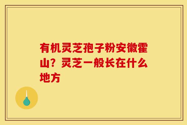 有机灵芝孢子粉安徽霍山？灵芝一般长在什么地方