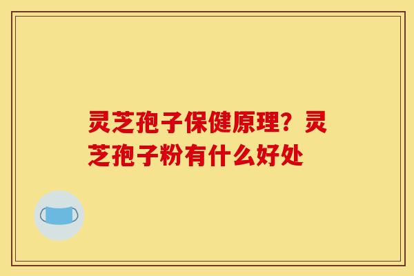 灵芝孢子保健原理？灵芝孢子粉有什么好处