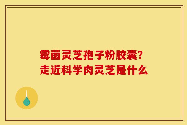 霉菌灵芝孢子粉胶囊？走近科学肉灵芝是什么