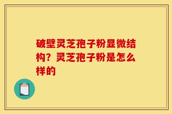 破壁灵芝孢子粉显微结构？灵芝孢子粉是怎么样的