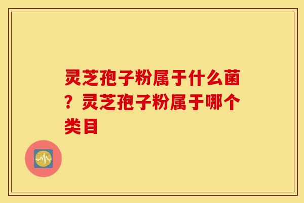 灵芝孢子粉属于什么菌？灵芝孢子粉属于哪个类目
