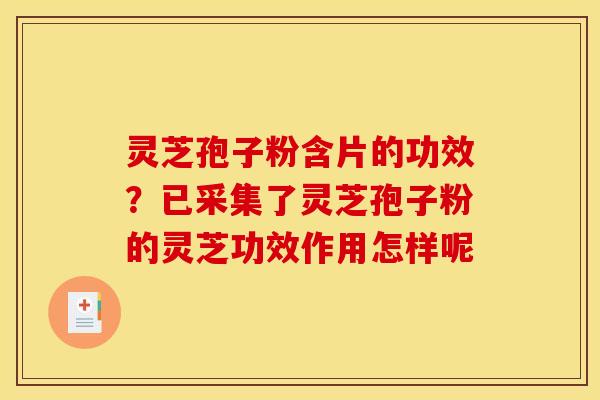 灵芝孢子粉含片的功效？已采集了灵芝孢子粉的灵芝功效作用怎样呢