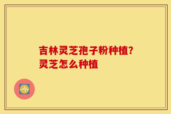吉林灵芝孢子粉种植？灵芝怎么种植