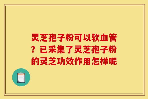 灵芝孢子粉可以软血管？已采集了灵芝孢子粉的灵芝功效作用怎样呢