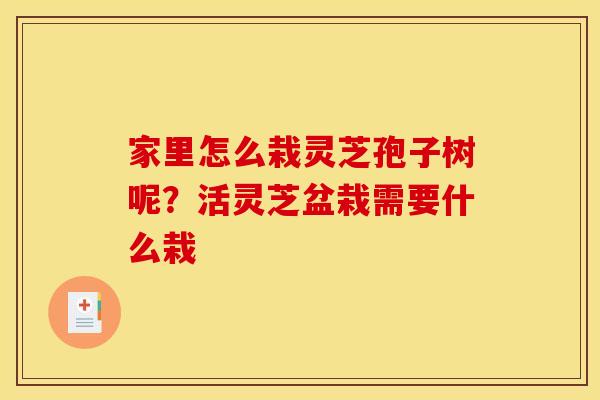 家里怎么栽灵芝孢子树呢？活灵芝盆栽需要什么栽
