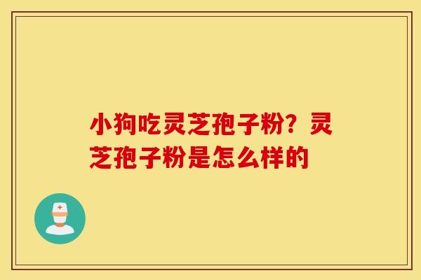 小狗吃灵芝孢子粉？灵芝孢子粉是怎么样的
