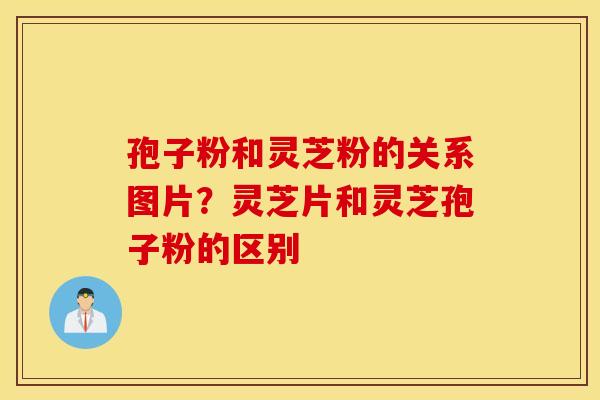 孢子粉和灵芝粉的关系图片？灵芝片和灵芝孢子粉的区别