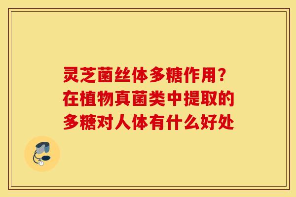灵芝菌丝体多糖作用？在植物真菌类中提取的多糖对人体有什么好处