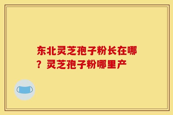 东北灵芝孢子粉长在哪？灵芝孢子粉哪里产