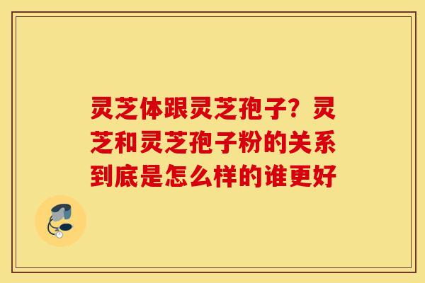 灵芝体跟灵芝孢子？灵芝和灵芝孢子粉的关系到底是怎么样的谁更好