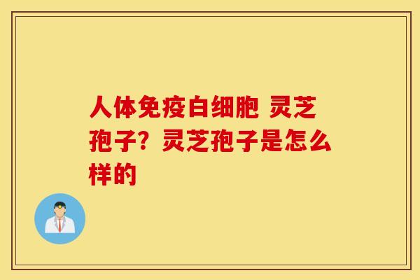 人体免疫白细胞 灵芝孢子？灵芝孢子是怎么样的