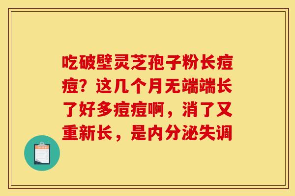 吃破壁灵芝孢子粉长痘痘？这几个月无端端长了好多痘痘啊，消了又重新长，是内分泌失调