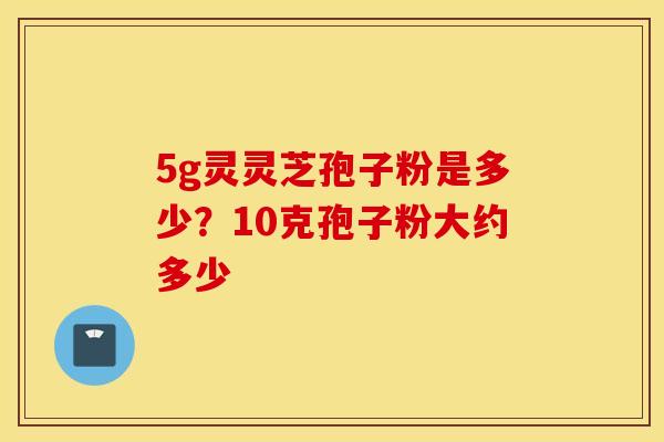 5g灵灵芝孢子粉是多少？10克孢子粉大约多少