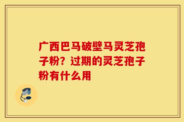 广西巴马破壁马灵芝孢子粉？过期的灵芝孢子粉有什么用