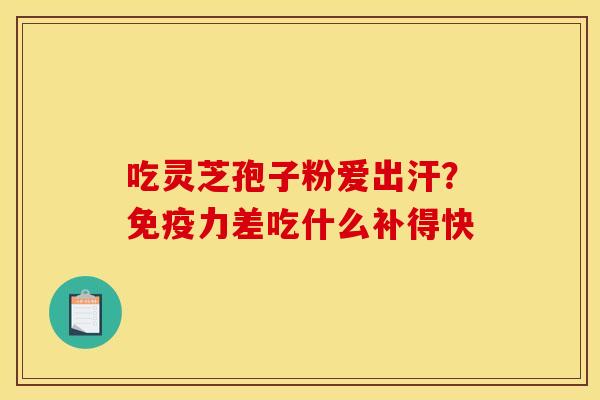 吃灵芝孢子粉爱出汗？免疫力差吃什么补得快