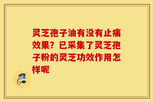 灵芝孢子油有没有止痛效果？已采集了灵芝孢子粉的灵芝功效作用怎样呢