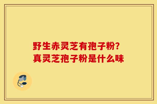 野生赤灵芝有孢子粉？真灵芝孢子粉是什么味