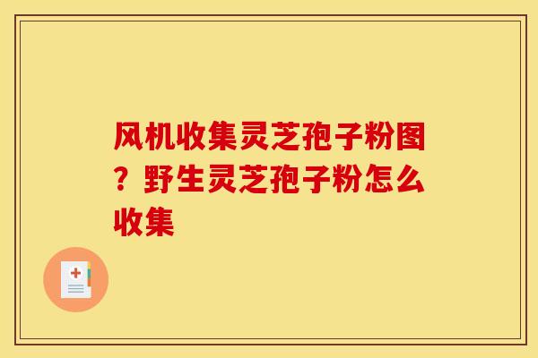 风机收集灵芝孢子粉图？野生灵芝孢子粉怎么收集